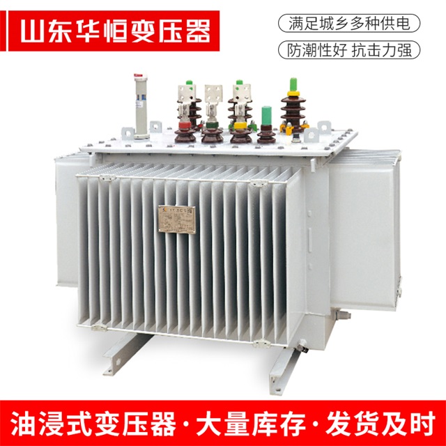S13-10000/35白玉白玉白玉电力变压器